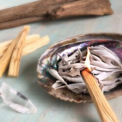 ���ڥѥ������ 20g���� l ���� �ѥ�����ȹ��� ���� �������ξ��� �ҡ���� ŷ���Фξ��� ������Ƥ� ���� ��饯��������� ���� ���󥻥� ������ �ݥ���Ⱦ��� �ϡ��� ������ ���� ŷ�� �ڥ롼��