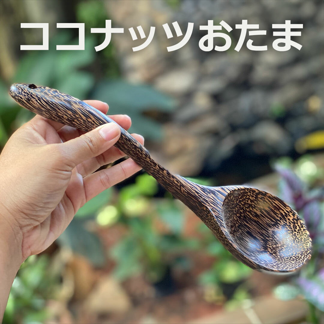 楽天市場】木のおたま 木製の通販 楽天市場】木のおたま 木製の通販