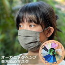 asana ヘンプ100% シングル 大判マスク・草木染め【メール便OK】ヘンプマスク 麻 繰り返し 洗える 紫外線 蒸れない 肌荒れしない 耳痛くない おしゃれ かっこいい 男女兼用 花粉 PM2.5対策