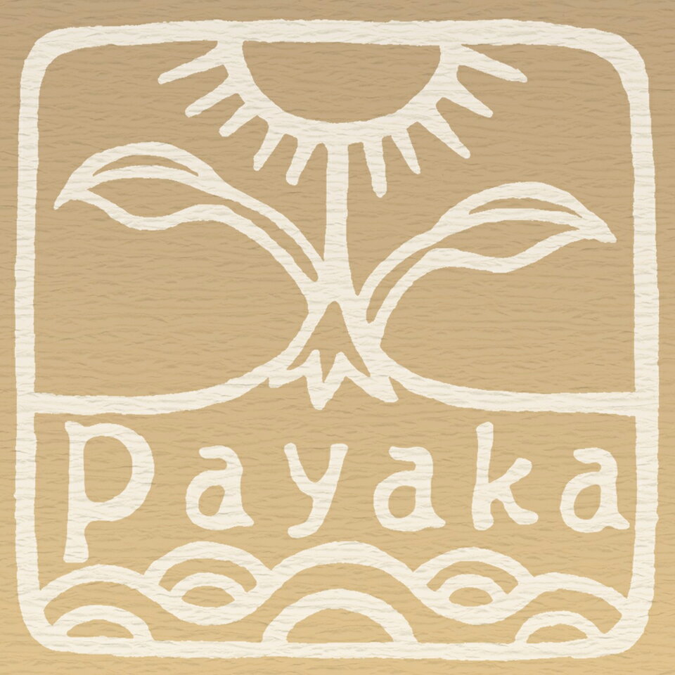 Shop icon