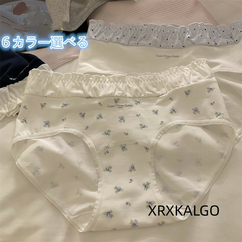 [クーポンで10％オフ]可愛いショーツ ビッグサイズ 下着 95%綿 プラスサイズ 6色選べる 大きいサイズパンツ 学生シンプル レディースパンツブリーフ 女性用 抗菌 女の子パンツ 締め付けない サテン