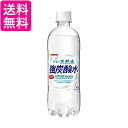 サンガリア 伊賀の天然水 強炭酸水 500ml×24本 1ケース 炭酸水 送料無料