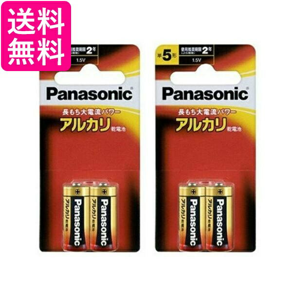 パナソニック LR1XJ/2B アルカリ乾電池 単5形 2本パック ×2個セット Panasonic 送料無料