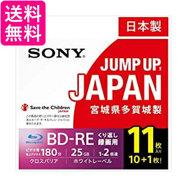 ソニー 11BNE1VSPS2 11枚 ビデオ用 ブルーレイディスク くり返し録画用 BD-RE 1 ...