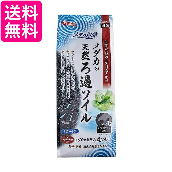 ϧ Ω  ֤  ŷ̵   Ω ʩŹϧ 㼼 ʩƲ  ۥƥ  å (S) ̵