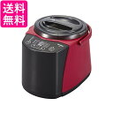 タイガー魔法瓶 RSF-A100R レッド精米機 1〜5合用 家庭用 変速かくはん式 無洗米機能つき DCモーター TIGER 送料無料