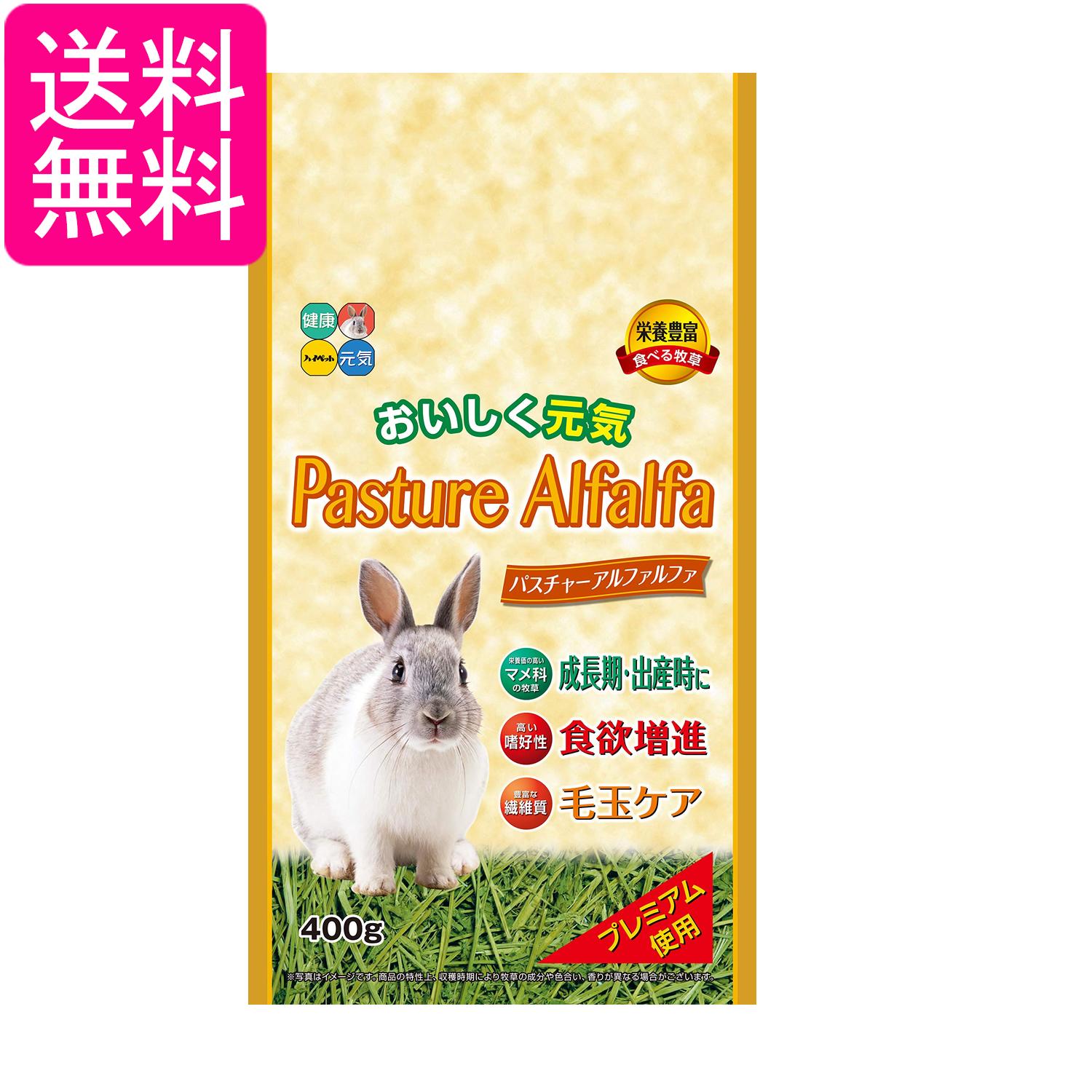 ハイペット パスチャーアルファルファ 400g うさぎ 小動物 えさ エサ 送料無料