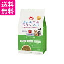 森乳サンワールド スーパーゴールド おなかラボ シニア犬用 2.4kg ドッグフード 乳酸菌 送料無料