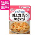 キユーピー Y2-11 やさしい献立 鮭と野菜のかきたま 100g 介護食 区分2 歯ぐきでつぶせる kewpie 送料無料