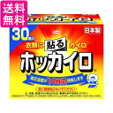 興和 貼る ホッカイロ レギュラー 30個入 送料無料