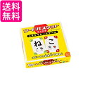 しりとり カードゲーム ワードバスケット ジュニア 送料無料