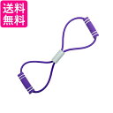 筋トレチューブ トレーニングチューブ エクササイズバンド ストレッチバンド フィットネス チューブ パープル (管理S) 送料無料