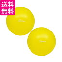 2個セット トーエイライト H9345Y ピラティスボール200 黄 TOEI LIGHT 送料無料