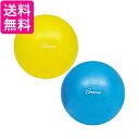 2個セット トーエイライト H9345Y H9345B ジスタス ピラティスボール200 黄 青 直径20cm セット 送料無料