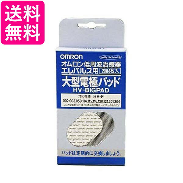 10個セット オムロン HV-BIG-PAD 交換パッド 低周波治療器用 大型電極パッド エレパルス用 2組4枚入 送料無料