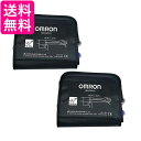 2個セット オムロン HEM-RML31 血圧計用 腕帯 太腕用 エア...(4)