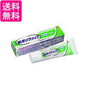 10個セット 入れ歯安定剤 新ポリグリップ 無添加 40g ポリグリップ 送料無料