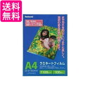 2個セット ナカバヤシ LPR-A4E2 ラミネートフィルム 100枚入 216×303mm A4 NAKABAYASHI 送料無料