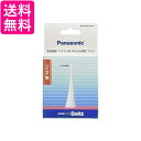 2個セット パナソニック EW0945-W 替えブラシ ドルツ やわらか歯間ブラシ 10本組 Panasonic 送料無料