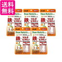 5個セット アサヒ ディアナチュラスタイル 鉄×マルチビタミン 20日分 20粒 Dear-Natura 送料無料