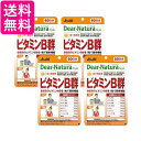 4個セット アサヒ ディアナチュラスタイル ビタミンB群 60日分 60粒 パウチ 送料無料