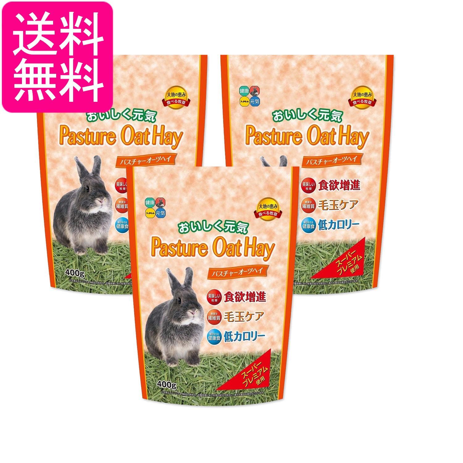 3個セット ハイペット パスチャーオーツヘイ 400g 牧草 ウサギ うさぎ小動物 送料無料