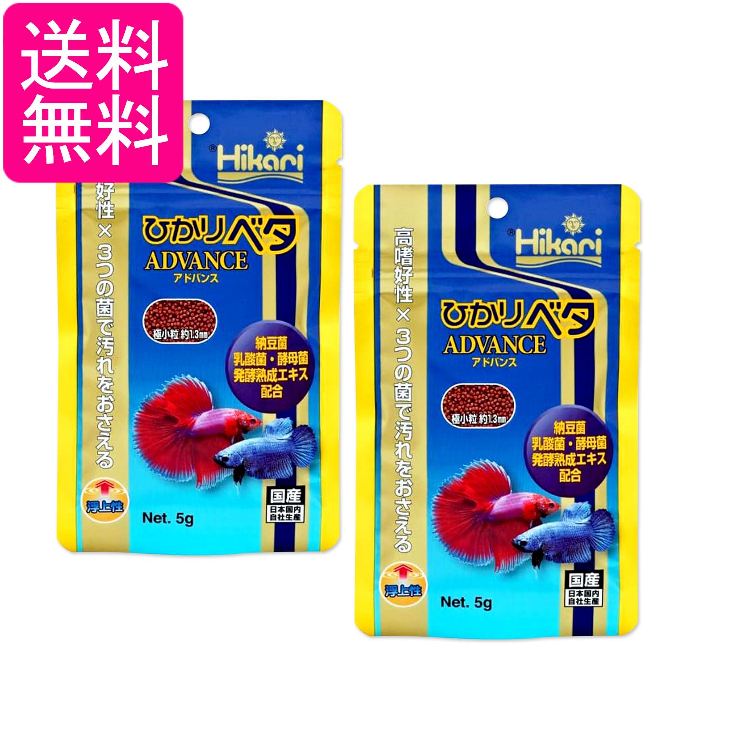 2�ĥ��å� ���硼��� �ҥ��� �Ҥ���٥� ���ɥХ� 5g ����� �˾�γ ����̵��