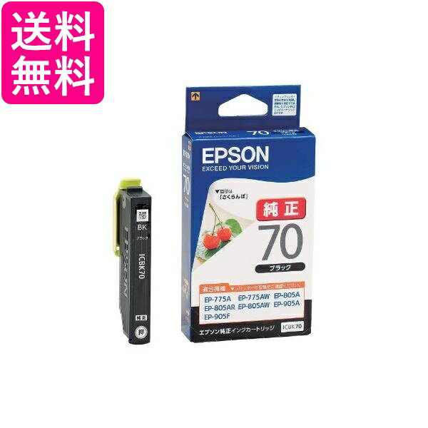 乐天商城 - 2個セット エプソン ICBK70 ブラック さくらんぼ 純正 インクカートリッジ 送料無料