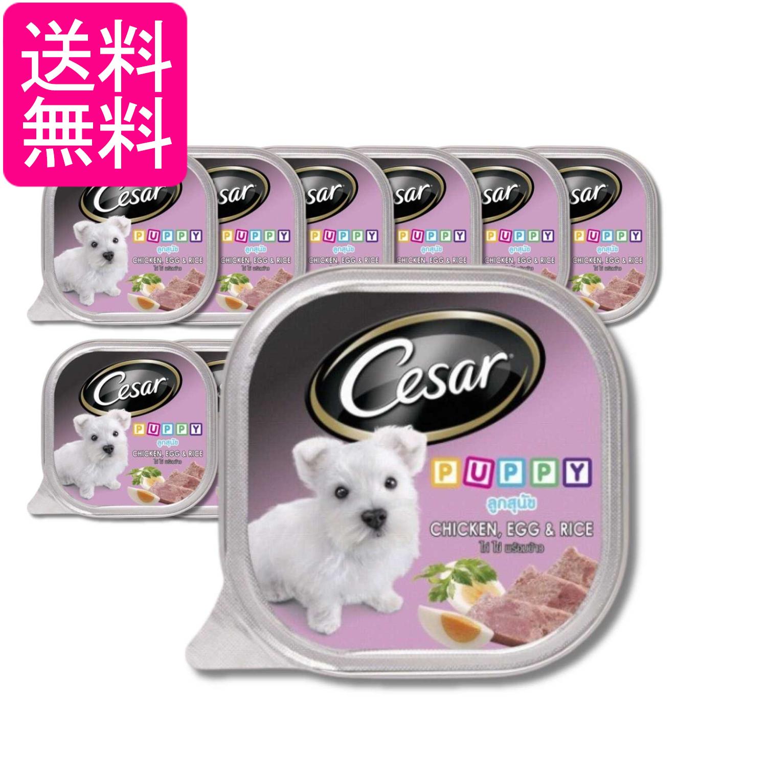 Rakuten - 12個セット マースジャパン シーザー 2ヵ月からの子犬用 ビーフ にんじん・たまご入り 100g 送料無料