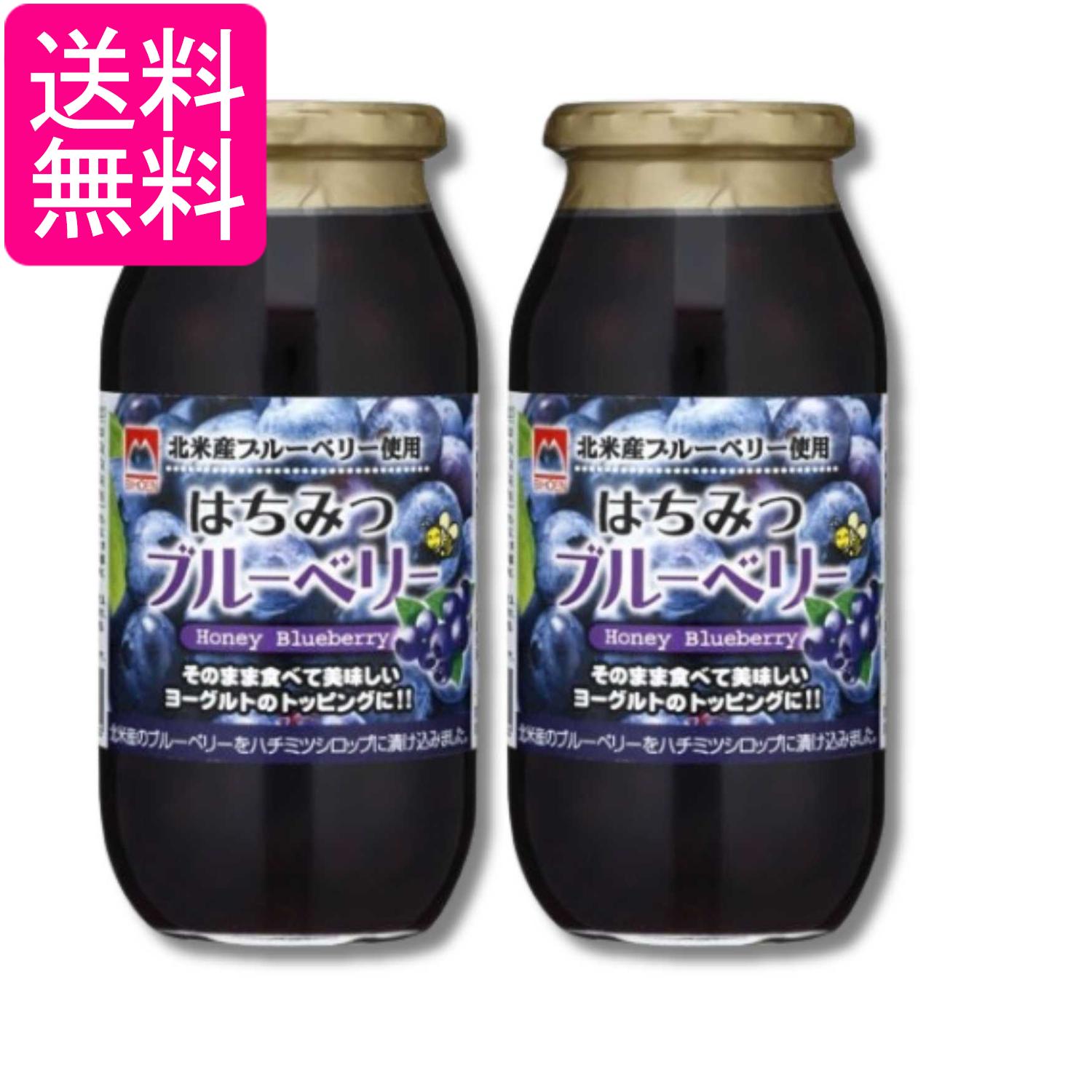 2個セット 加藤美蜂園 はちみつブルーベリー 650g 送料無料