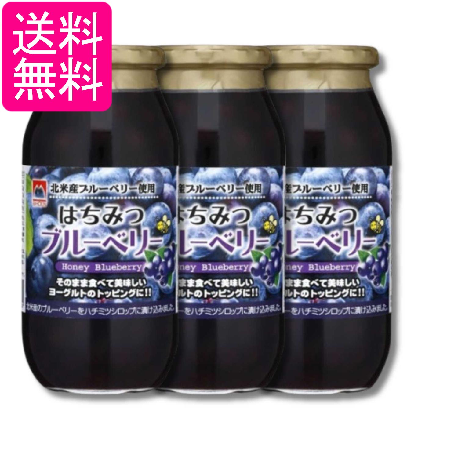 3個セット 加藤美蜂園 はちみつブルーベリー 650g 送料無料