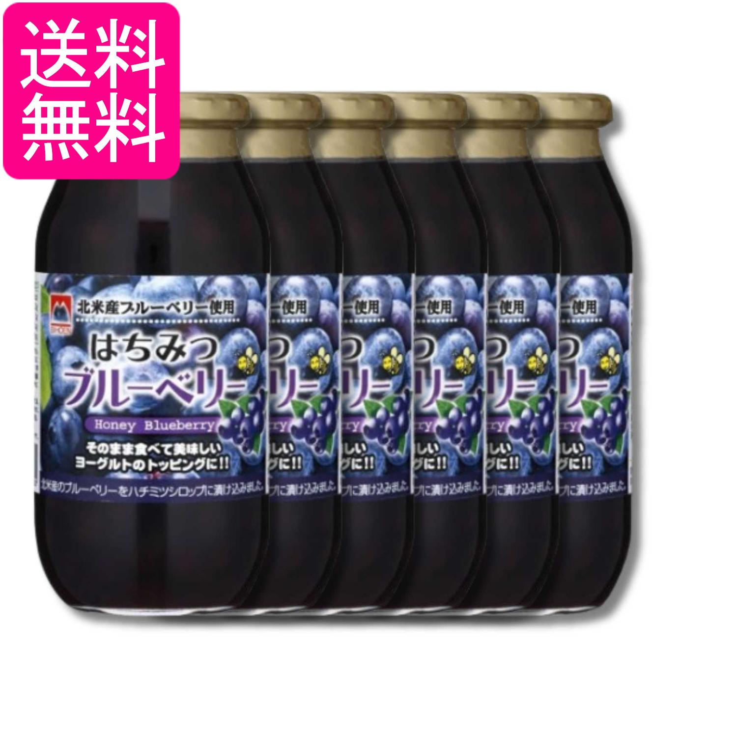 6個セット 加藤美蜂園 はちみつブルーベリー 650g 送料無料