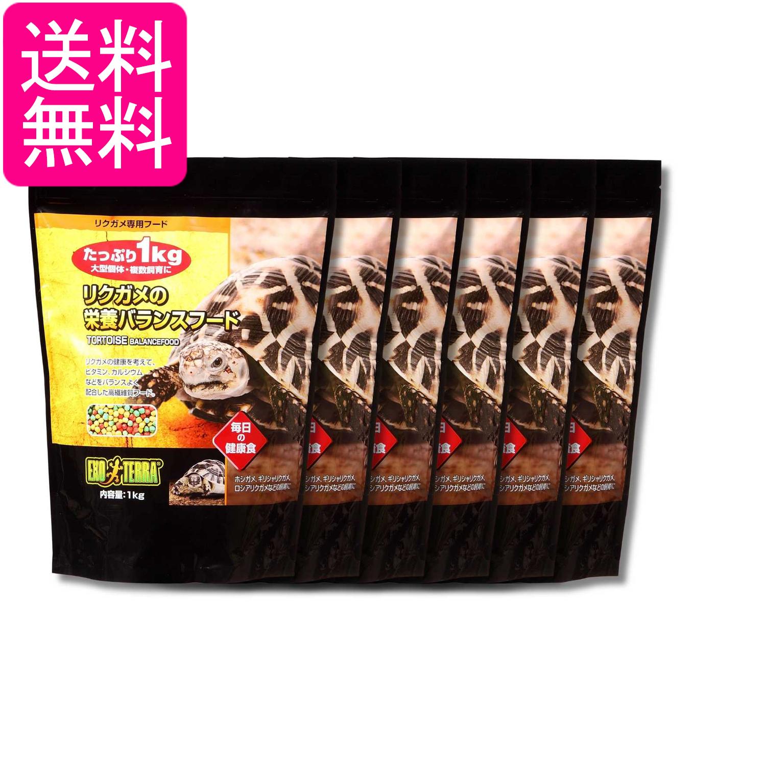 6個セット ジェックス エキゾテラ リクガメの栄養バランスフード1kg 送料無料