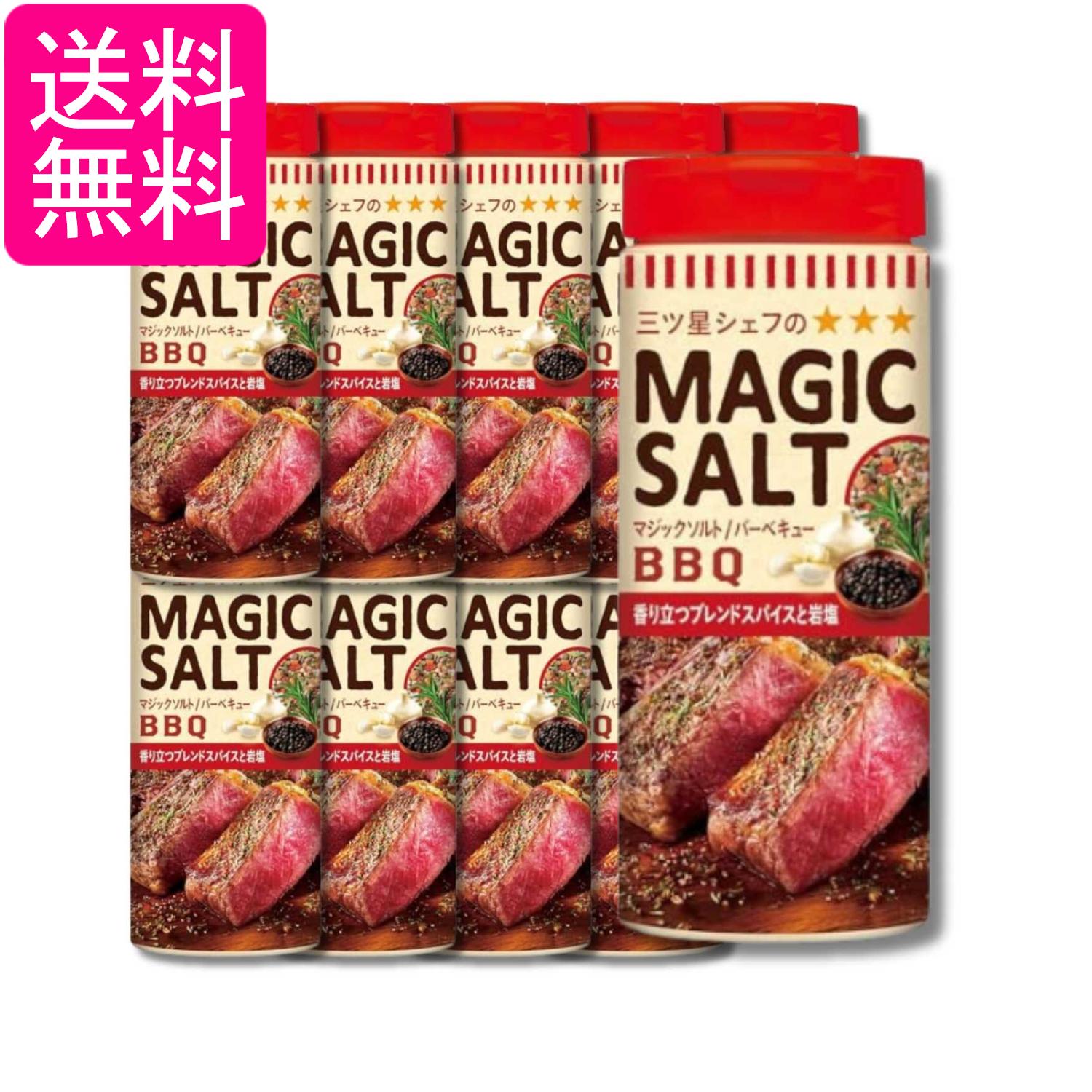 10個セット エスビー食品 マジックソルト バーベキュー 80g 送料無料