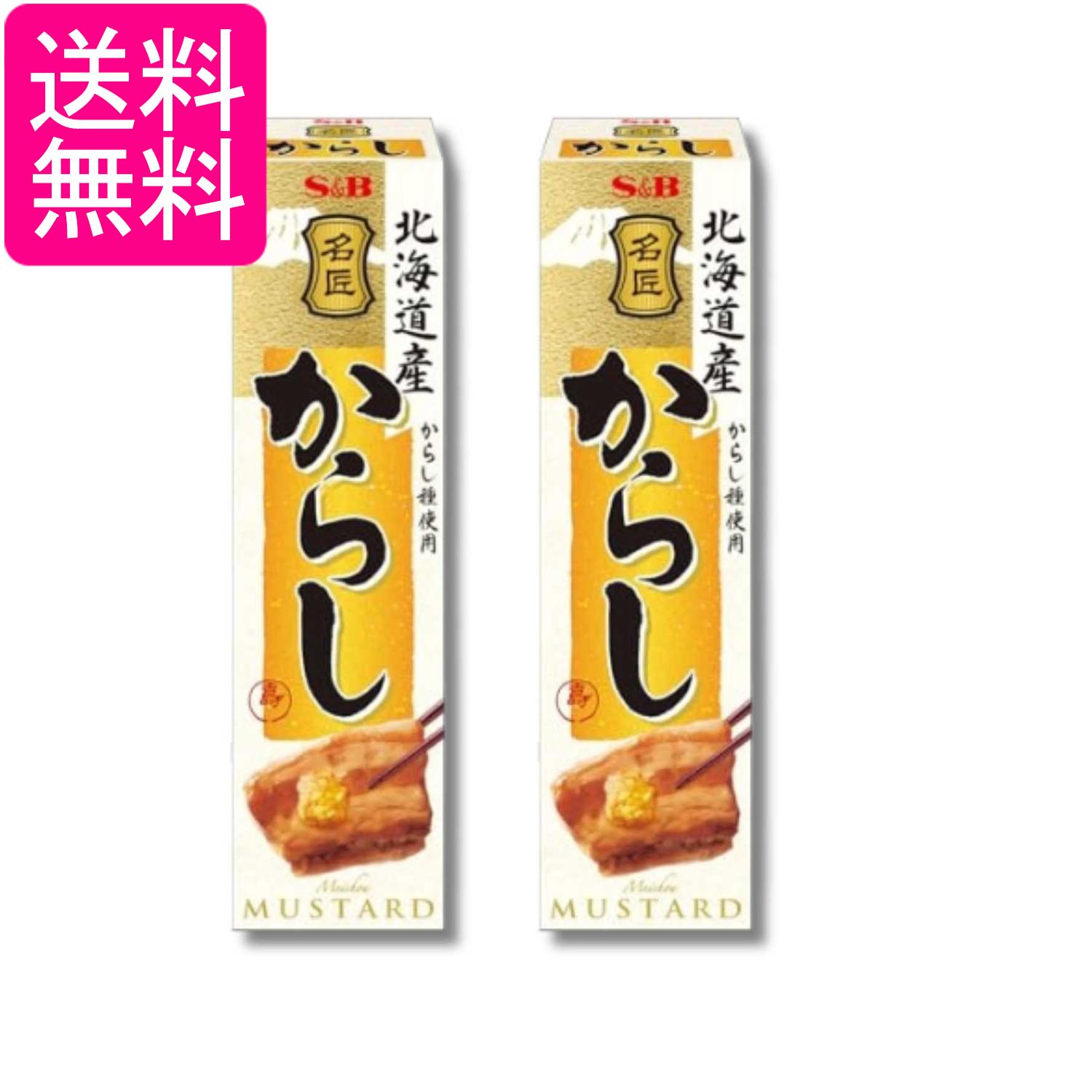 2個セット エスビー食品 名匠にっぽんのからし 33g 練りスパイス 送料無料