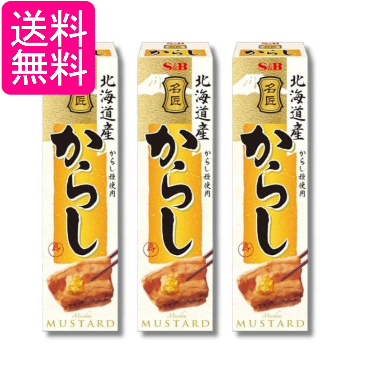 3個セット エスビー食品 名匠にっぽんのからし 33g 練りスパイス 送料無料