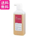 呉竹 BB19-18 呉竹膠液 180ml 送料無料 【G】