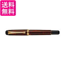 呉竹 DBA140-13 くれ竹万年筆 夢銀河 越前白檀塗り 朱 送料無料 【G】