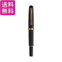 呉竹 DAY140-14 くれ竹万年毛筆 夢銀河 本革 黒 送料無料 【G】