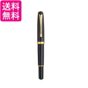 呉竹 DAY140-46 くれ竹万年毛筆 夢銀河 ブルーレパードアイ 中字 送料無料 【G】