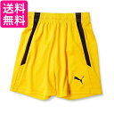 プーマ サッカー ショートパンツ TEAMLIGA ゲームパンツ JR 705145 キッズ サイバー イエロー ブラック07 160 送料無料 【G】
