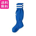 プーマ ラインイリ ジュニア ストッキング 729882 チームローヤル/ホワイト11 16.0-18.0 cm 送料無料 【G】