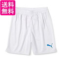 プーマ ハーフパンツ サッカー 729971 メンズ プーマホワイト/エレクトリックブルー06 M 送料無料 【G】