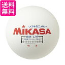 ミカサ ソフトミニバレーボール 大 円周78cm 175g 軽量タイプ ホワイト BM-LM MIKASA 送料無料 【G】