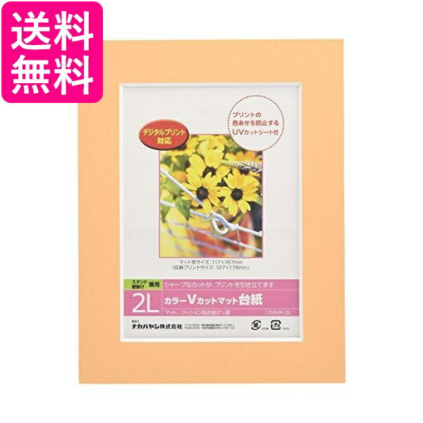 DGVM-2L-O カラーVカットマット台紙2Lサイズ エレクトロニクス 送料無料 【G】