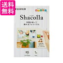 FUJIFILM 写真パネル shacolla(シャコラ) 単品 WD KABE-AL KG 送料無料 【G】