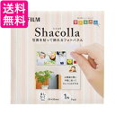 FUJIFILM 写真パネル shacolla(シャコラ) 単品 WD KABE-AL マシカク 送料無料 【G】