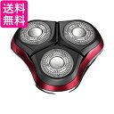 イズミ 交換用替刃(外刃/内刃セット)IZUMI SR-N12 送料無料 【G】