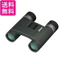 PENTAX 双眼鏡 AD 10×25 WP 防水 小型軽量でたためて持ち運びに便利 フルマルチコーティング 10倍 62882 送料無料 【G】
