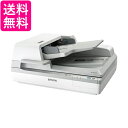 エプソン A3高耐久フラットベッドスキャナー DS-60000 スタンダードモデル 送料無料 【G】